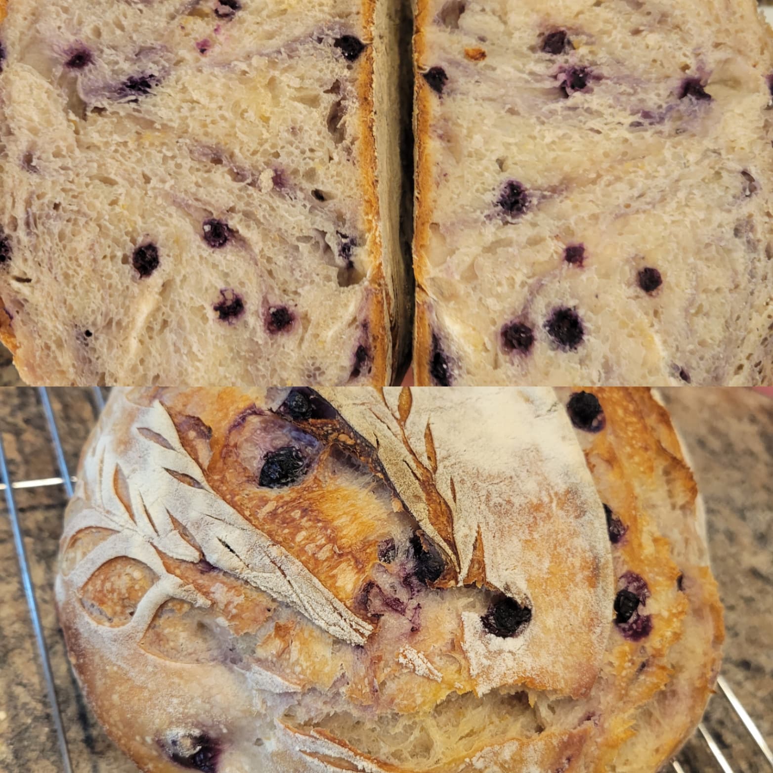Lemon Blueberry Sourdough