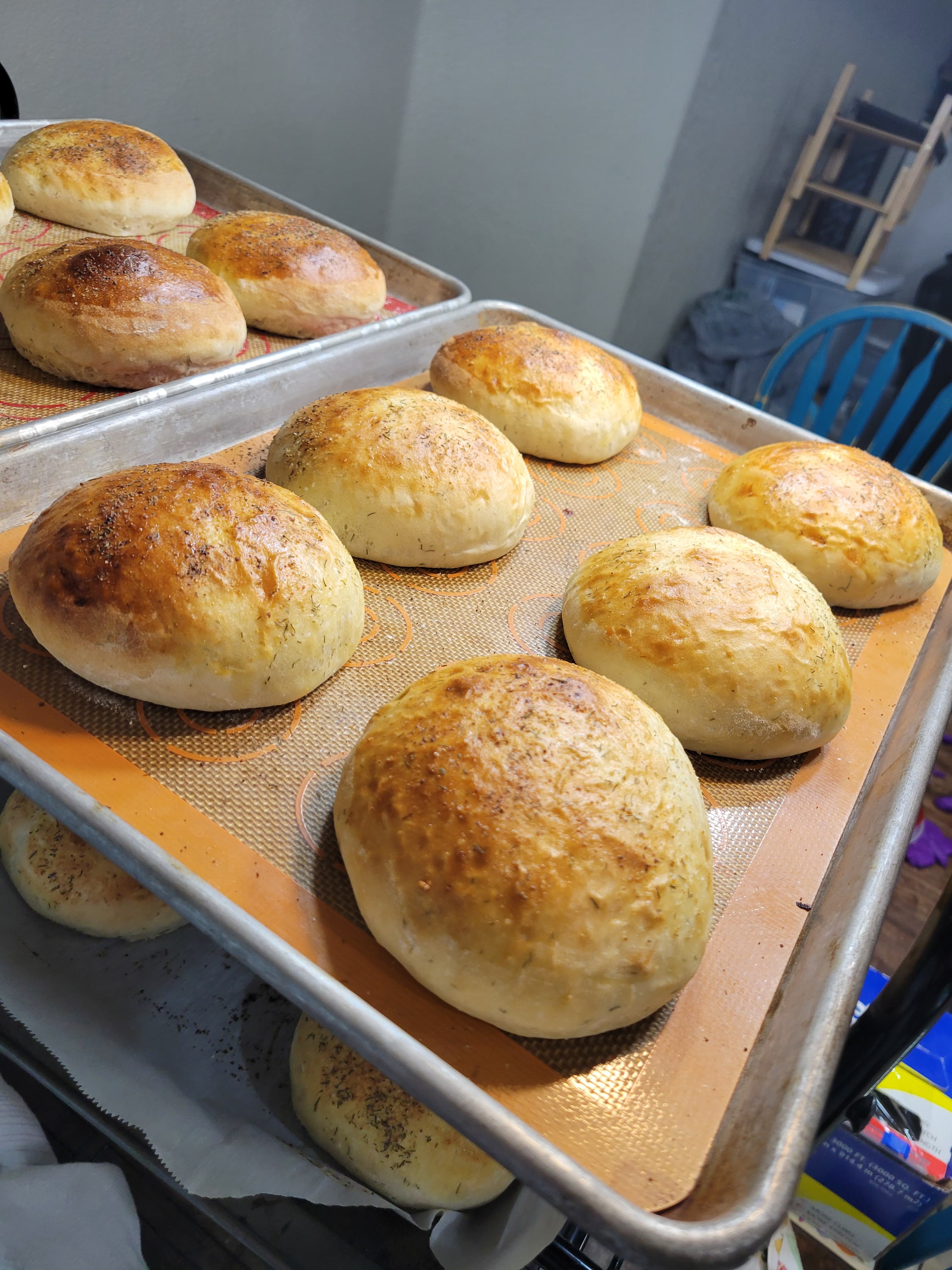 Dill Havarti Sourdough