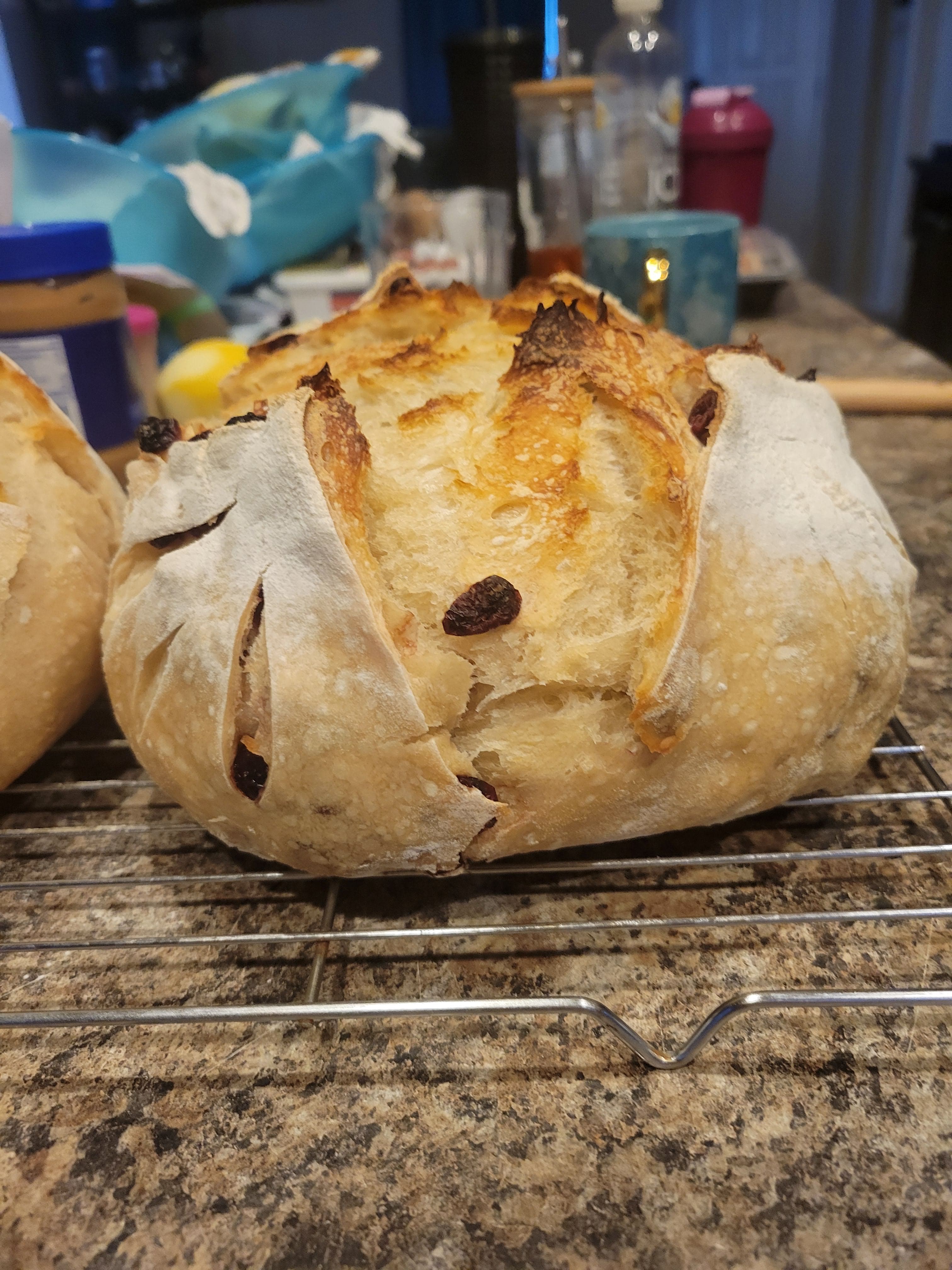 Cranberry Orange Sourdough